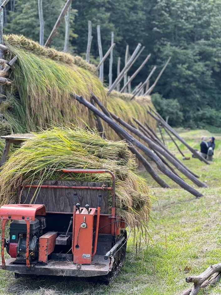 はさがけの様子(2)