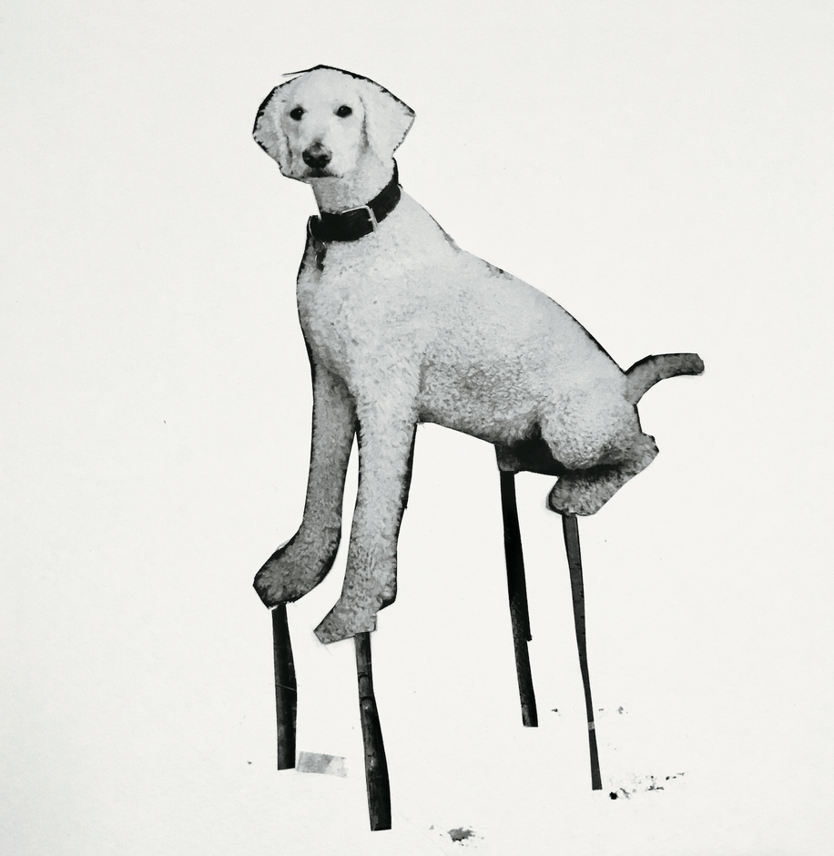 Drawing paper,Printing paper 2019