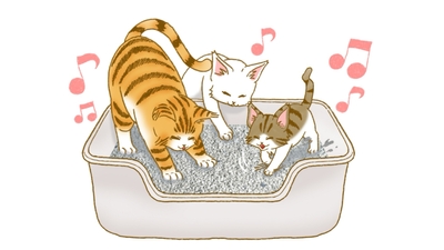 猫ちゃんが心地よく使える猫砂を