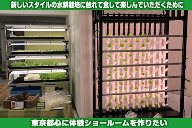 “食料自給率1％増”目指す！水耕栽培を無料体験できる ショールームの完備のためのクラファン締め切り10/20に迫る