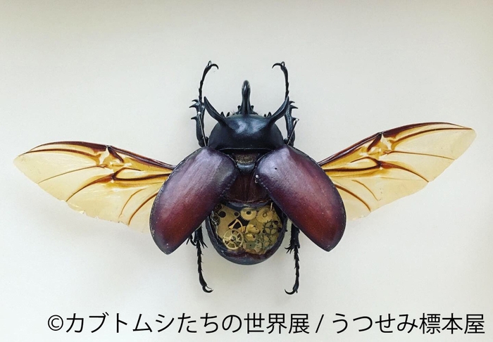 展示3