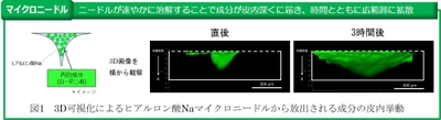 ※ローダミンB(蛍光色素)を届けたい成分の指標とした