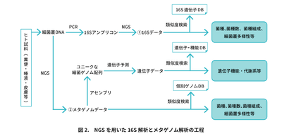 腸内細菌叢サービス画像 図2