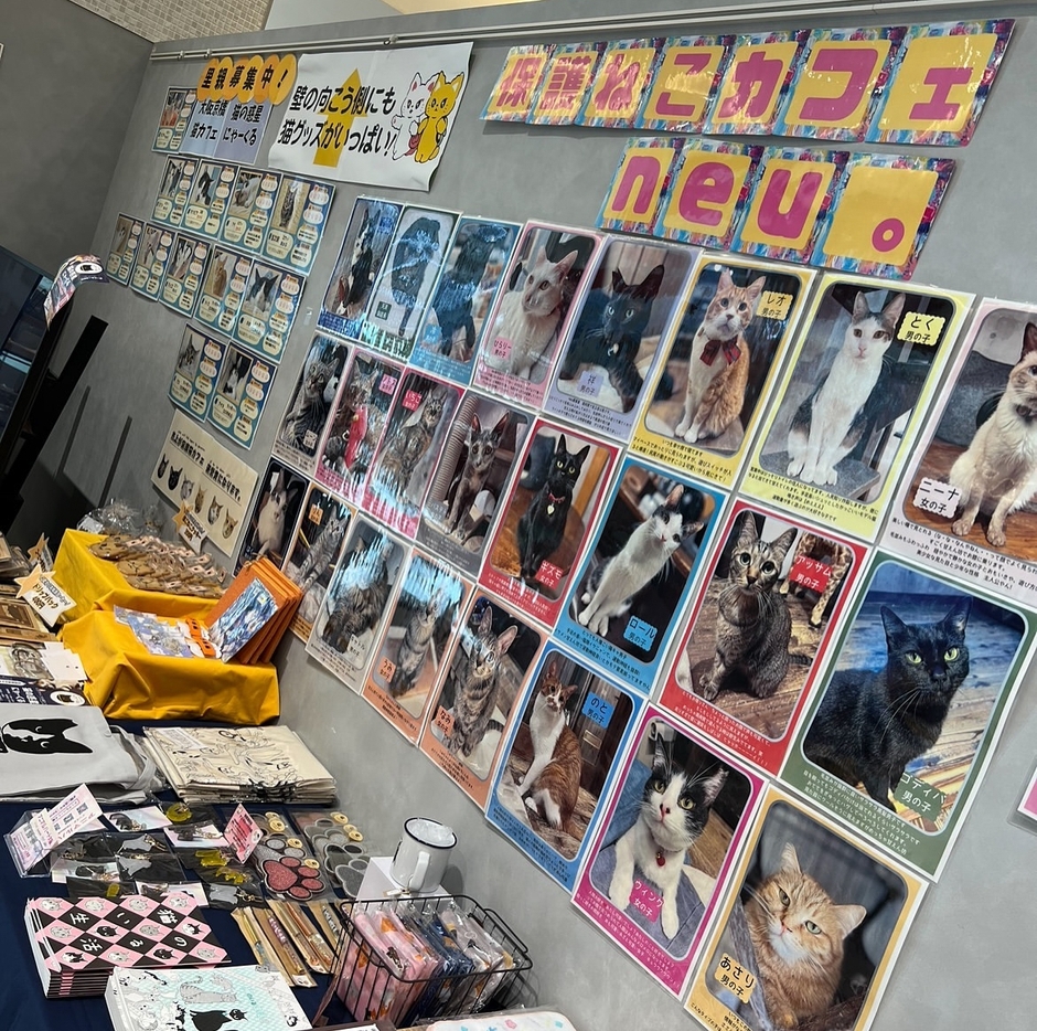 保護猫パネル展