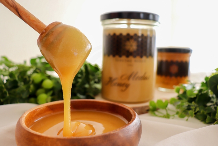 リンデン生はちみつ500g/200g