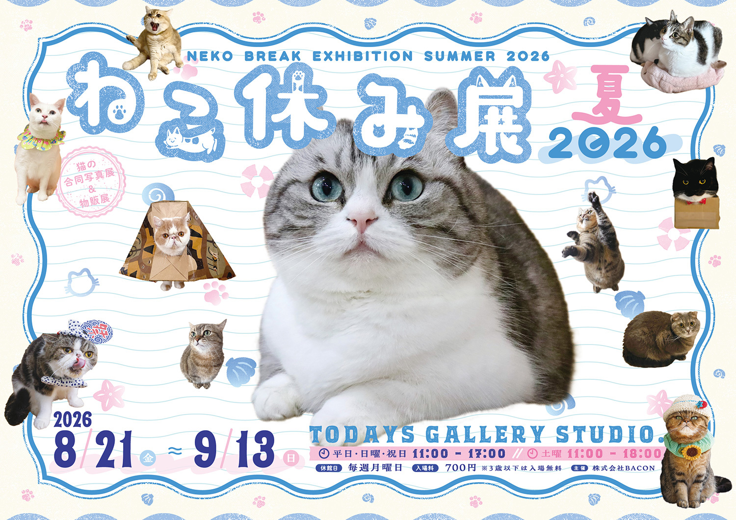猫まみれ”で癒される！人気スター猫の新作＆限定グッズが集結 200万人
