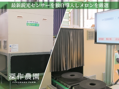 最新鋭の光センサーを独自導入しメロンを厳選しています