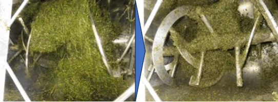 活性酸素水草処理　1時間処理後（右）