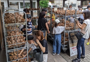 オーガニック給食推進で有機JASキノコ収穫体験催事を実施 　子供たちや給食関係者との交流会で食育活動を提案