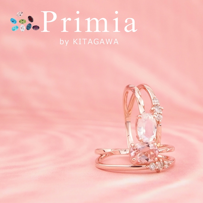 プリミア製作事例1