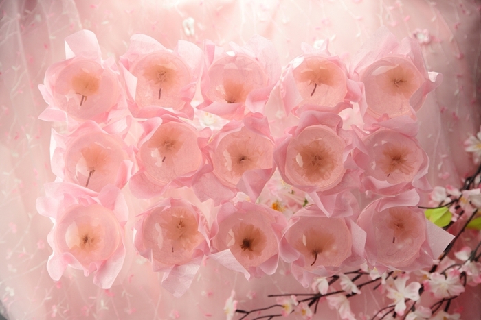 桜咲く さくらゼリー(R)イメージ3