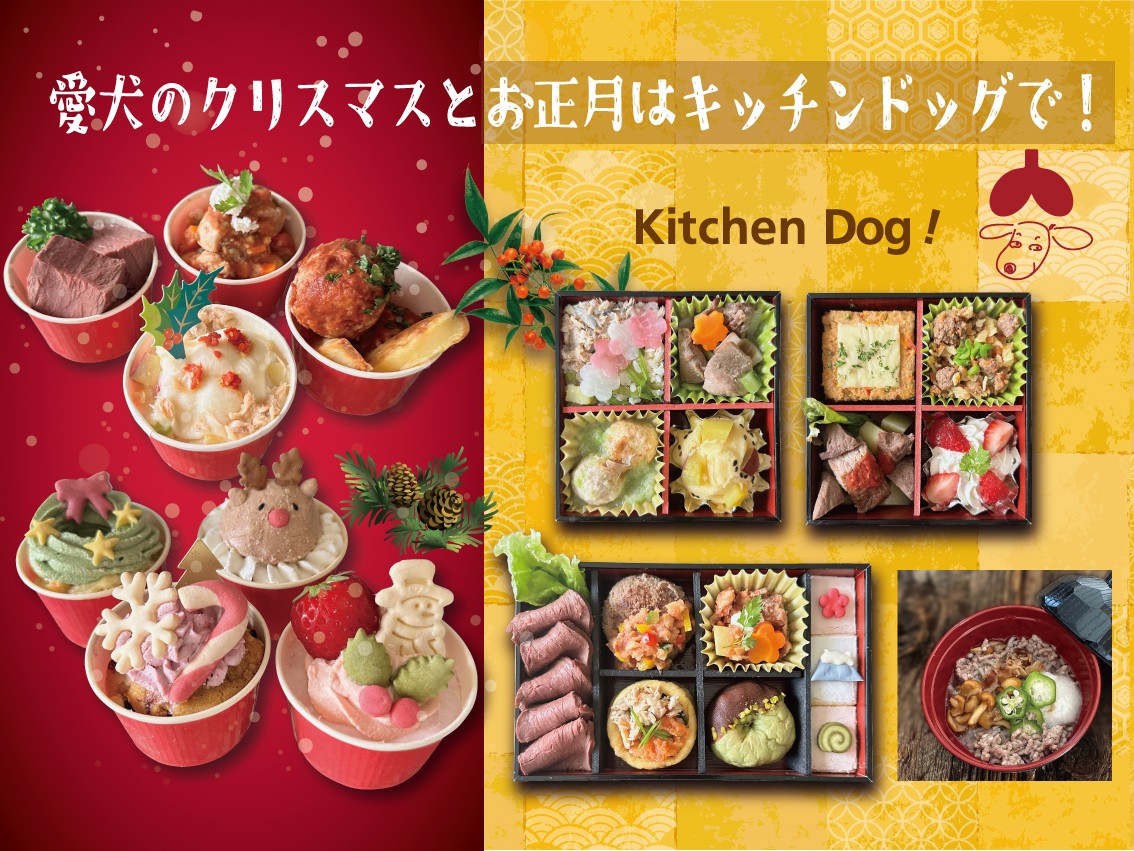 愛犬と過ごす特別な季節行事 - 24年目を迎える手作り犬用クリスマスケーキ・おせち販売開始