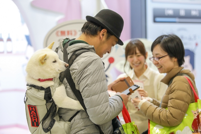 会場の様子