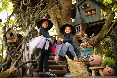 星野リゾート　リゾナーレ 八ヶ岳・熱海・トマムで展開する、個性豊かなハロウィンイベント 「リゾナーレハロウィン2019」開催！紹介動画公開！ 装飾に加え、スタッフによるハロウィン仕様のサービス等も
