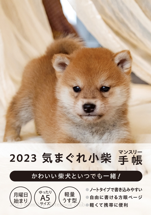 気まぐれ小柴-1
