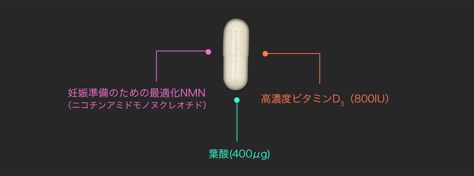 NMN(ニコチンアミドモノヌクレオチド)、高濃度ビタミンD3(800IU)、葉酸(400μg)