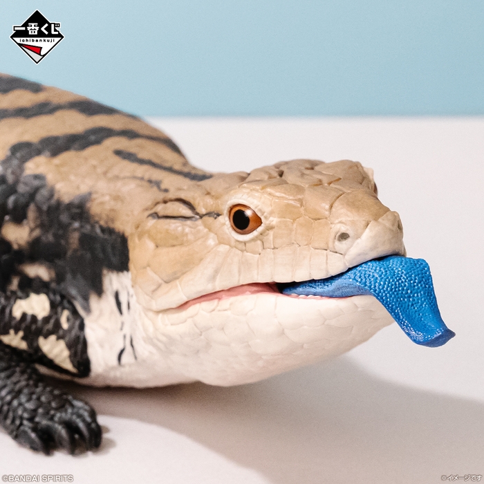 ラストワン賞:アオジタトカゲ フィギュア べぇ(イメージ2)