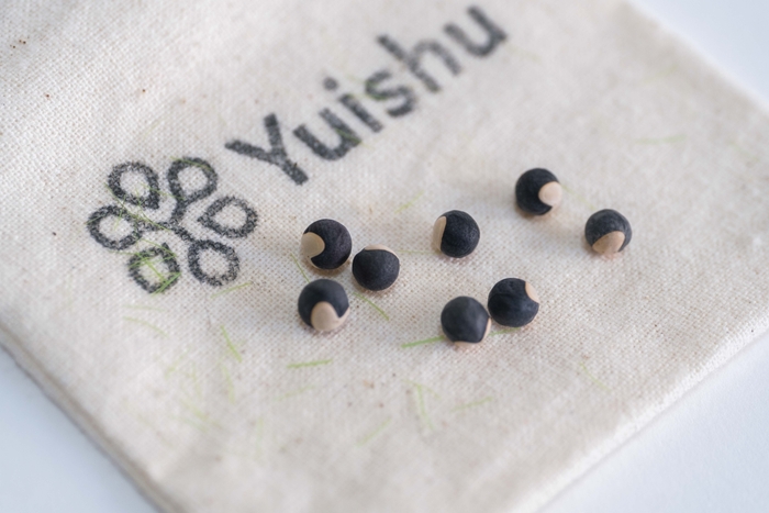 Yuishu(DNAを含むタネ)