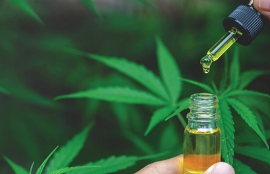 日本のカンナビジオール市場、2034年まで年平均成長率（CAGR）27.37%での拡大を予測