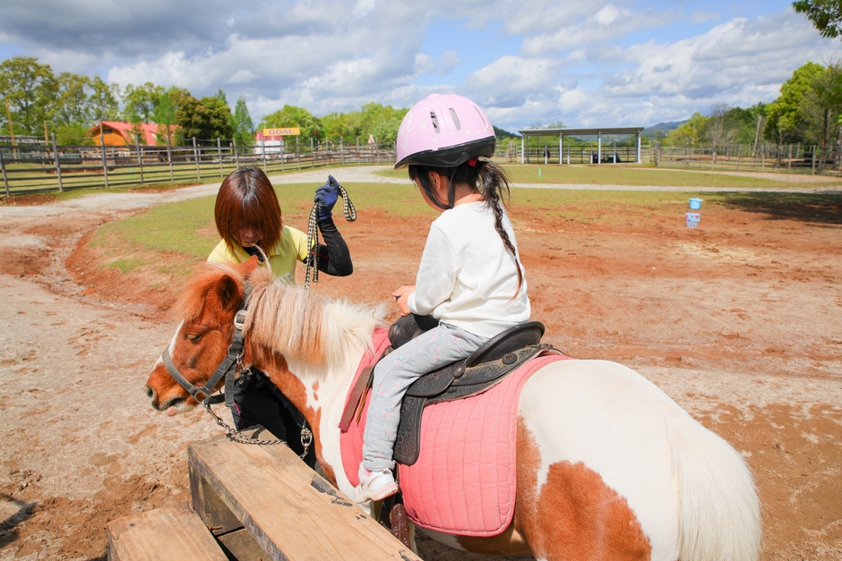 動物とのふれあい(乗馬体験) ※イメージ