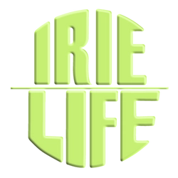 合同会社IRIE