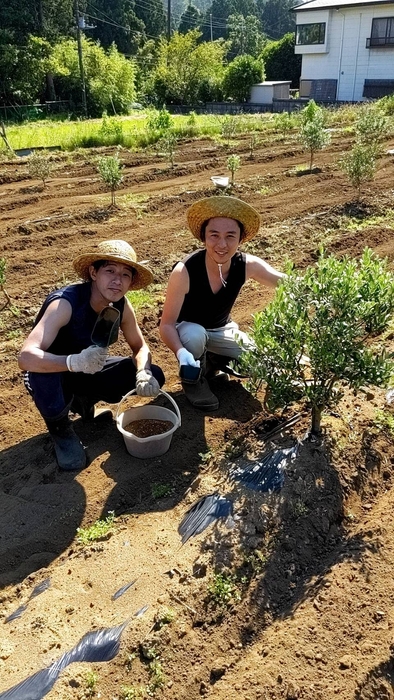 植え込みの様子