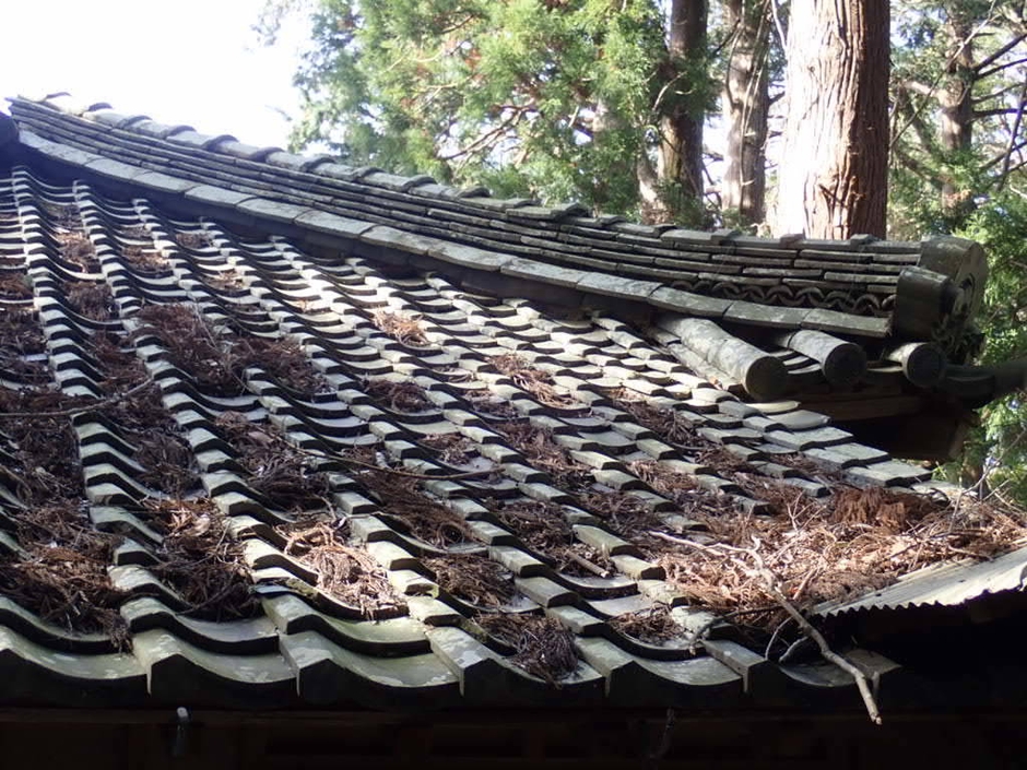 落ち葉がいっぱい