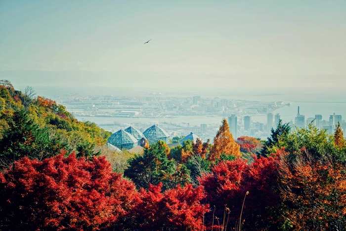 展望プラザからの布引の紅葉