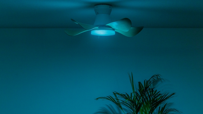 ホタルック点灯