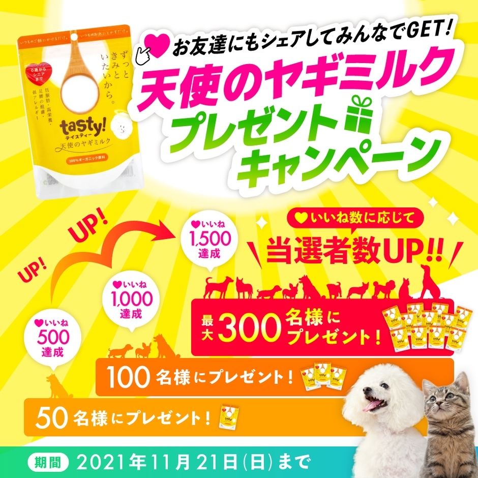 キャンペーン画像(1)