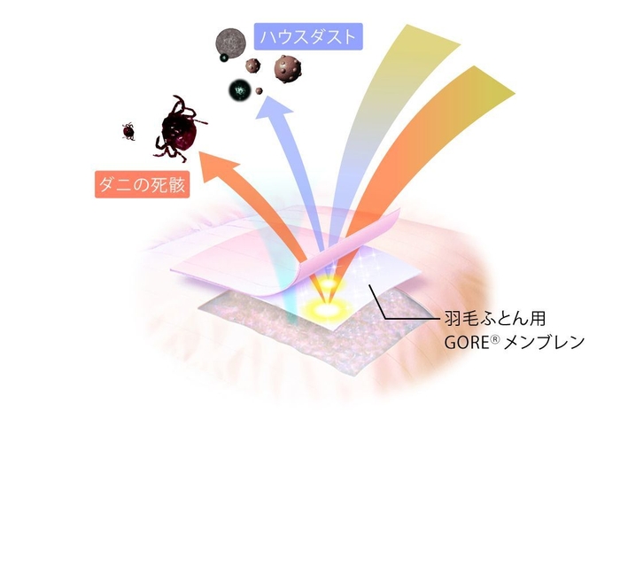 ロイヤルスター生地