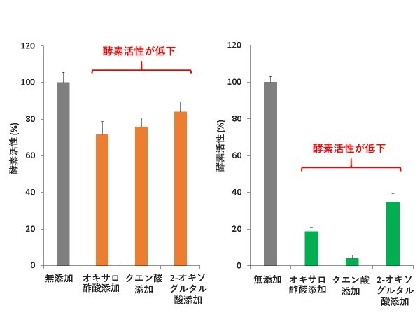 図2. 5 mM 代謝産物存在下のSyG6PDH(左)とSy6PGDH(右)活性