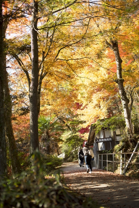 満奇洞までの道中での撮影（1）