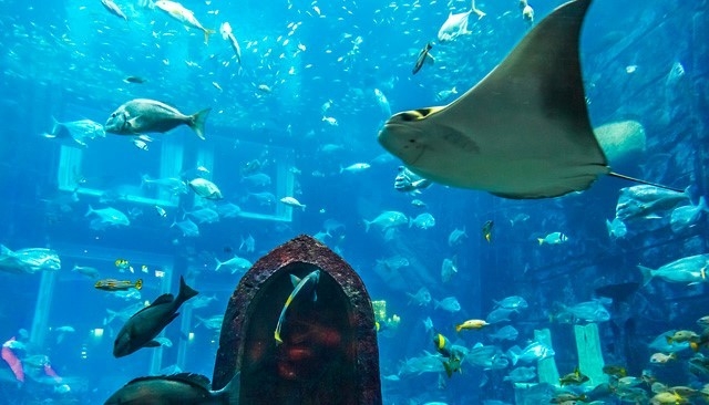 水族館