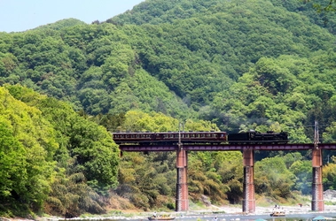 秩父鉄道SL予約システムの事前予約システム　 6月17日よりクレジットカードによる事前決済を導入