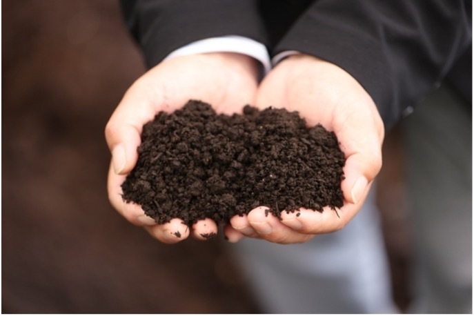 関園長の土壌チェック