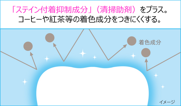 ステイン付着抑制