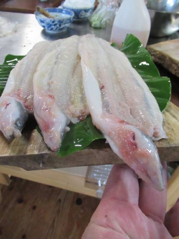 料理9