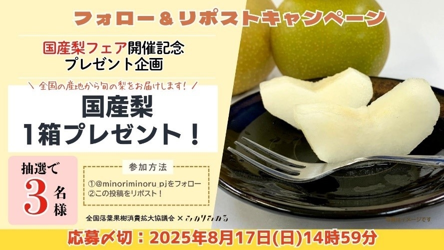 フォロー＆リポストキャンペーン