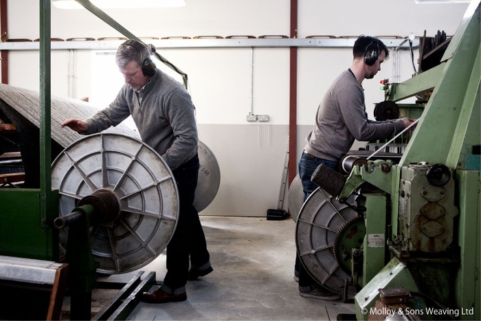 モロイ&サンズ モロイ家