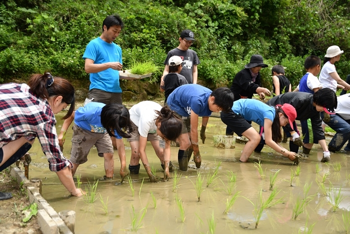 収穫を夢みながらの田植え