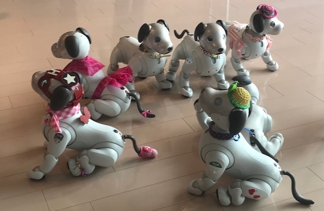 天の丸のaibo「メーテル」と仲間たち