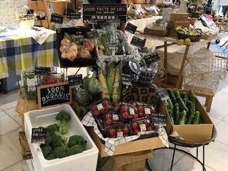 有機野菜の　「ビオ・マルシェの宅配」、 「KUZUHA MALL」にて 「Organic & Natural Marche」を出店