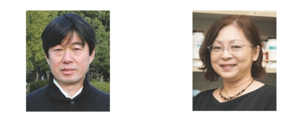 農業生産科学科 教授 細川 宗孝（左）、生物機能科学科 教授 篠原 美紀（右）
