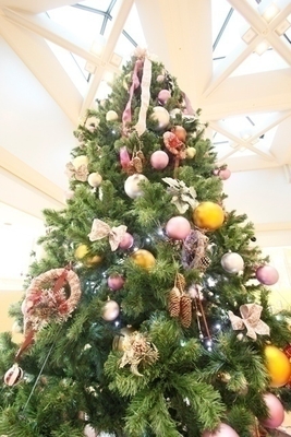 高さ4m超えクリスマスツリー