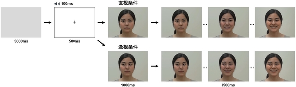 図１：直視条件と逸視条件