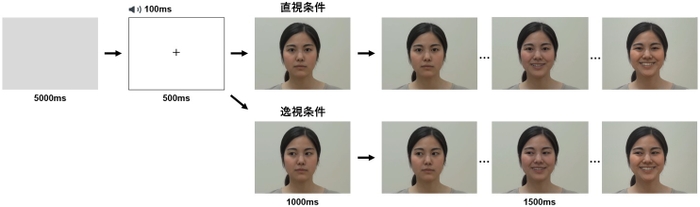 図１：直視条件と逸視条件