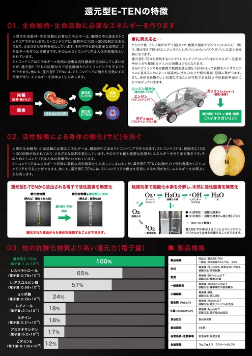 還元型E‐TEN　パンフレット2