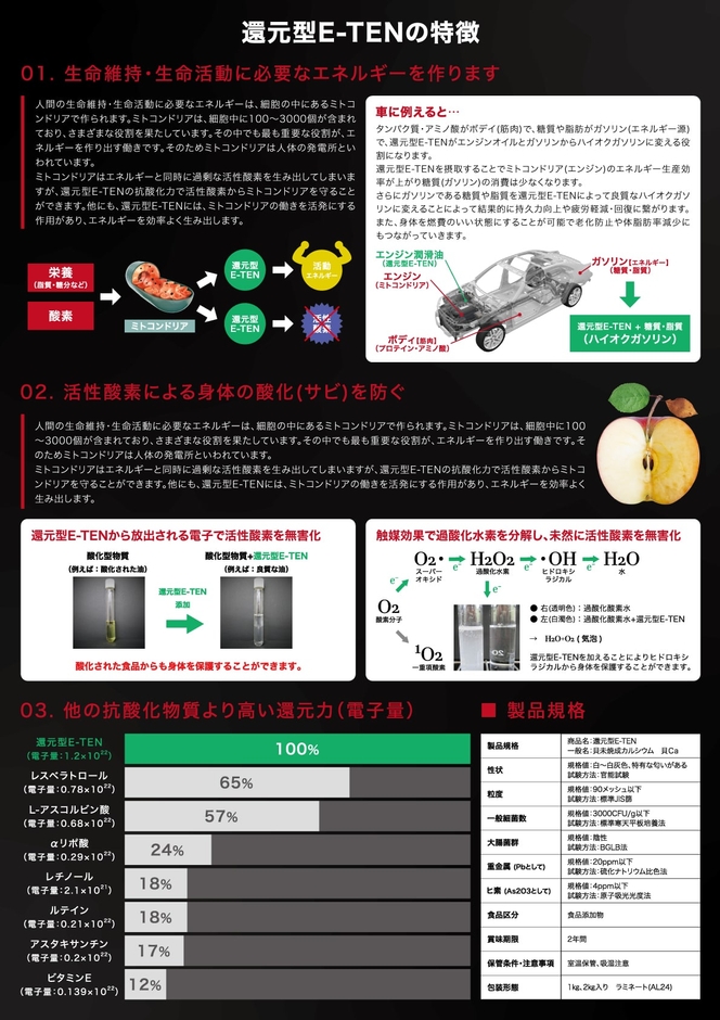 還元型E‐TEN パンフレット2