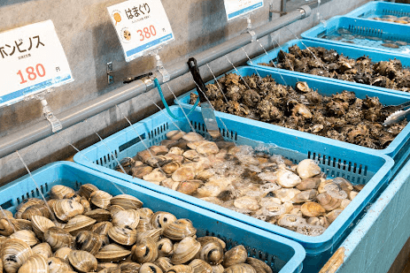 キラキラ海水の流れる水槽には活きたままの貝類がズラリ